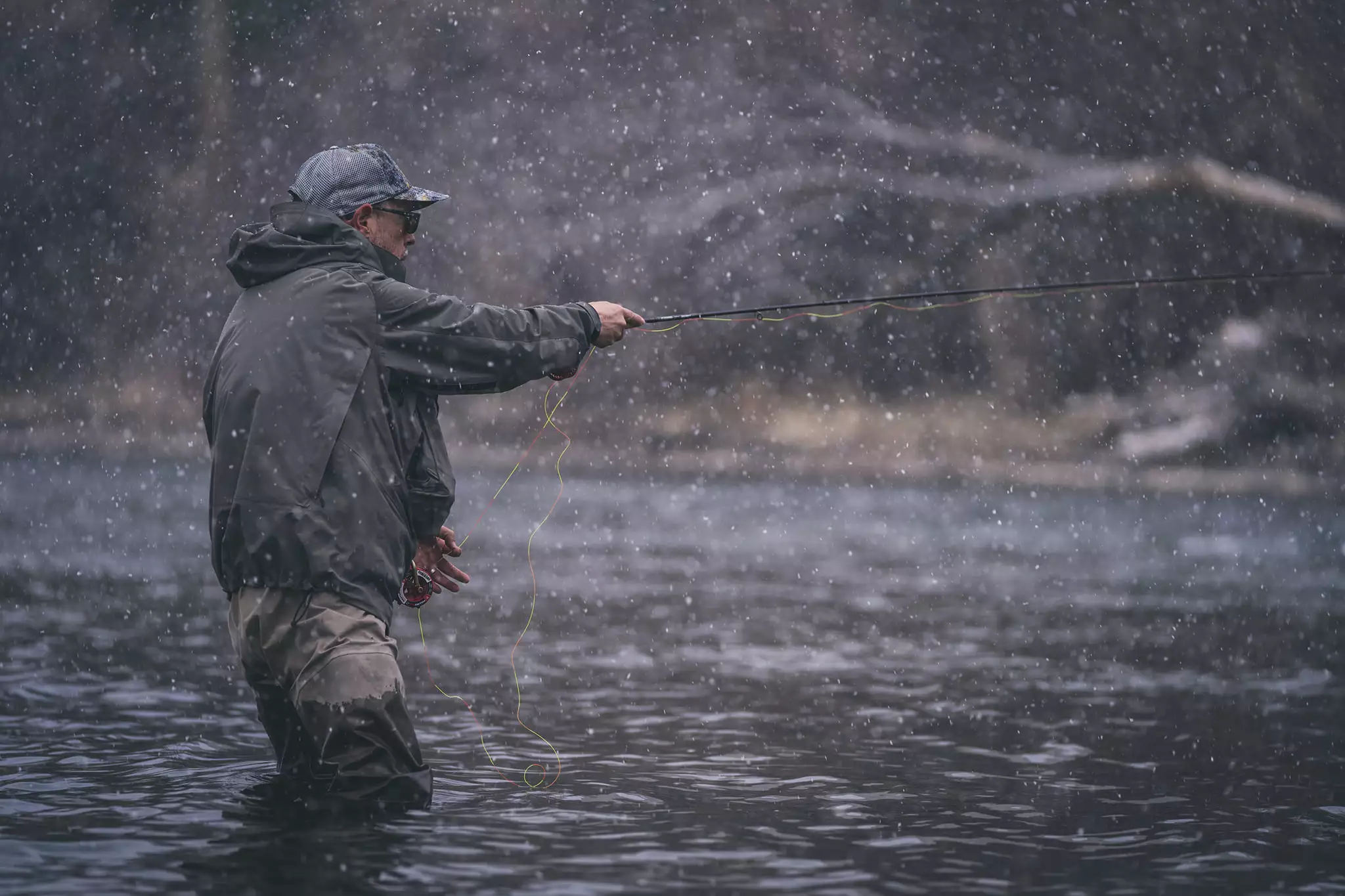 Roofvissen Winkel 28 Roofvissen Winkel -Roofvissen Winkel 271790636 5395316413817484 7154264759393386660 n