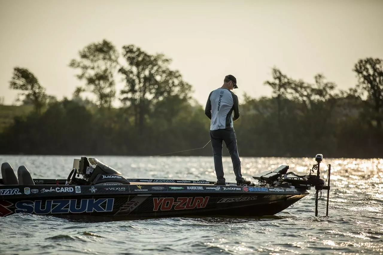 Roofvissen Winkel 10 Roofvissen Winkel -Roofvissen Winkel 327991096 855619449072304 6798237674070418605 n