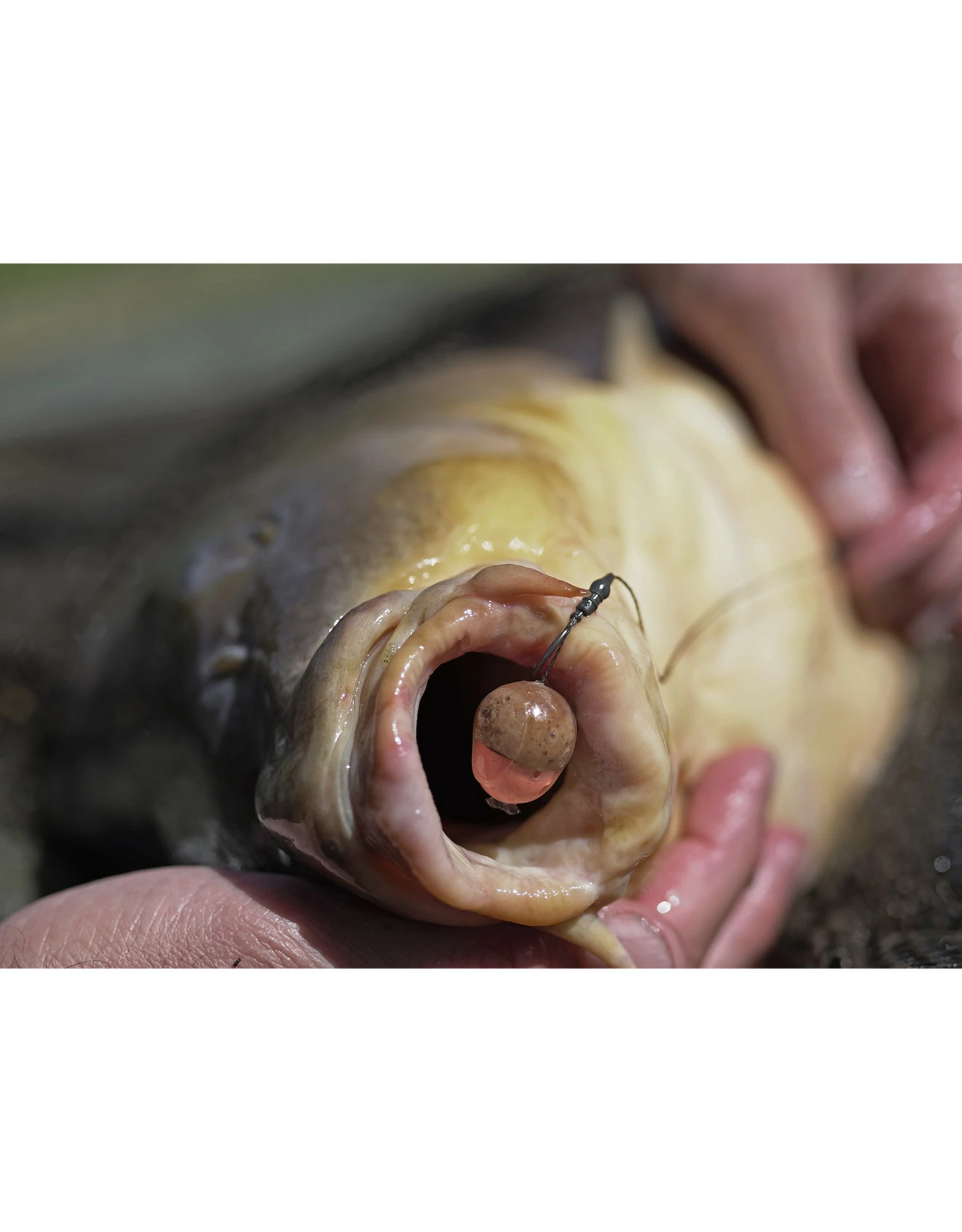 Pole Position Tungsten Kicker Short 6 Pole Position Tungsten Kicker Short - Afbeelding 4