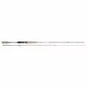 Trout Master PASSION TROUT SPIN 2.10M 3-10G -Roofvissen Winkel trout master passion trout spin 210m 3 10g